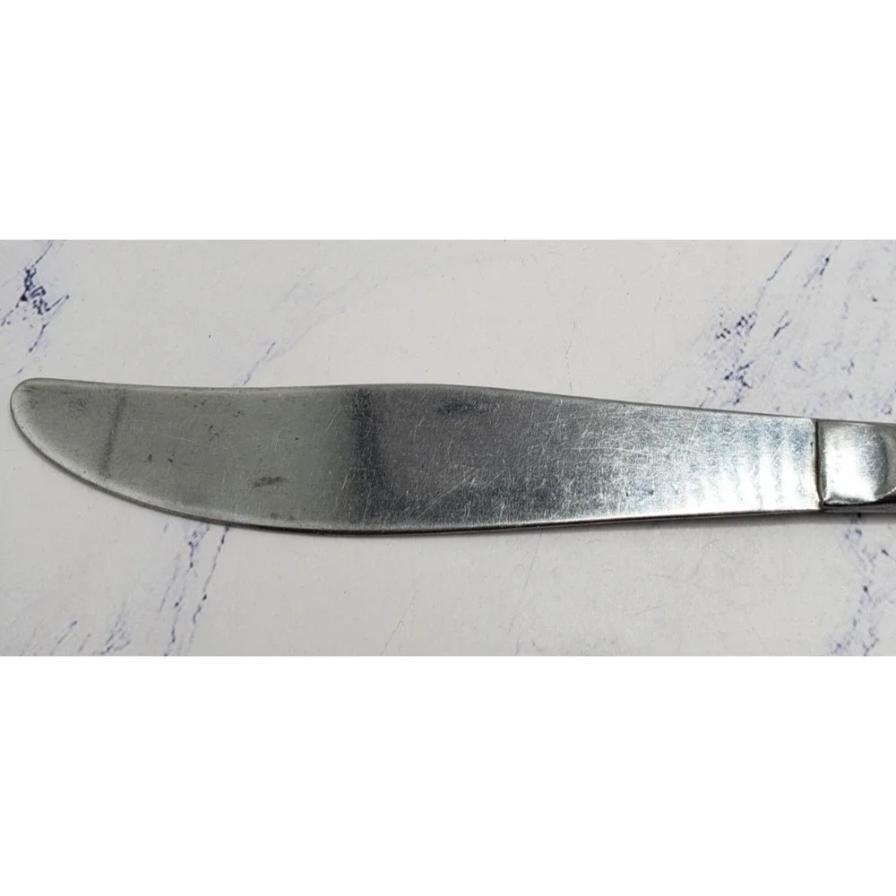 Stainless Steel 8 Inch Floral Pattern Flatware Butter Knife